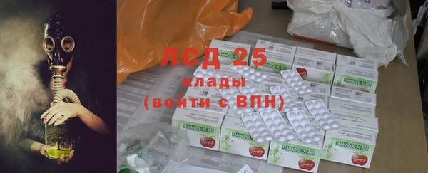 индика Гусиноозёрск