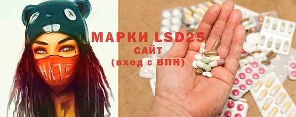 индика Гусиноозёрск
