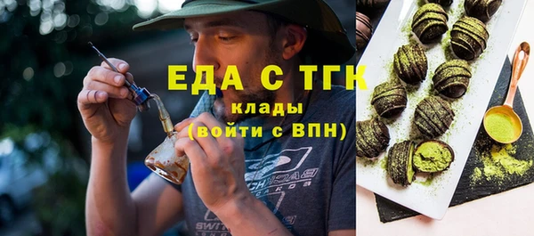 индика Гусиноозёрск
