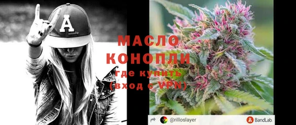 индика Гусиноозёрск