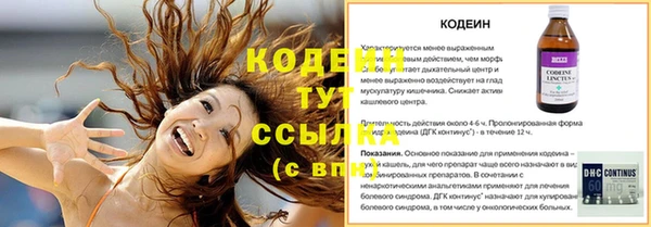 индика Гусиноозёрск