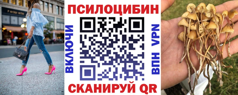 Галлюциногенные грибы мицелий  Купить где  Красноуфимск 